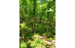 00 Millingport Road, Albemarle, NC 28001
