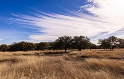 Legacy Oaks Dr lot: 15, Harper, TX 78631