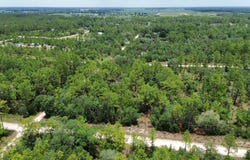 NE 123rd Ave, Williston, FL 32696
