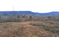 NC 2900, Jasper, AR 72641