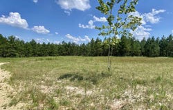 97 County Road 763, Sheridan, AR 72150