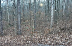 0 VALLEY Ln, Warrior, AL 35180