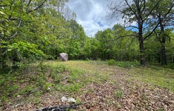 000 Osborn Bluff Road, Tunas, MO 65764