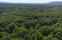 426, Dardanelle, AR 72834