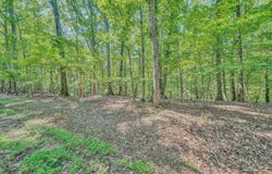 Lot 24 Woodridge TRL, Moneta, VA 24121