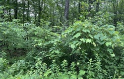 956 N Barnstead Road, Barnstead, NH 03225