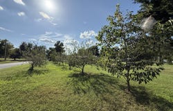 204 Pin Oak Lane, Billings, MO 65610