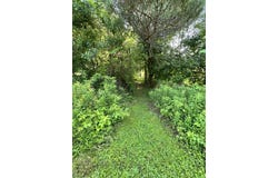 1041 Route 44, Shinglehouse, PA 16748