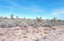 26241 N Humming Bird Lane, Meadview, AZ 86444