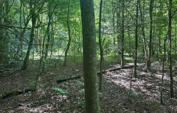 Slick Rock Rd, Eolia, KY 40862