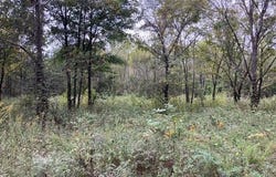 Cox Rd., Biggers, AR 72413
