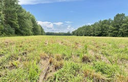 0 Quail Road, Hemingway, SC 29554