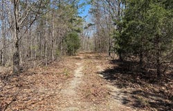 1 Off FSR 2531, Belleview, MO 63623
