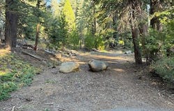 425 Upper Road, Tahoe City, CA 96145