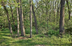 215 E 7th Street, Westfield, WI 53964-9129