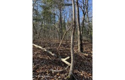 6838 Flats Rd, Tallassee, TN 37878