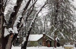 53985 Pine Crest Avenue, Idyllwild, CA 92549
