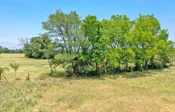 8538 Preservation Way County Road, North Zulch, TX 75852
