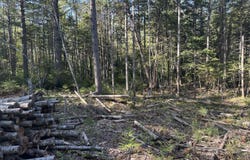 61 Gerards Trail Trail, Blue Hill, ME 04614