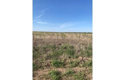 Tbd FM 540, No City, TX 79520