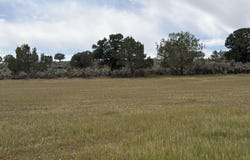 Cactus Park Road, Cedaredge, CO 81413