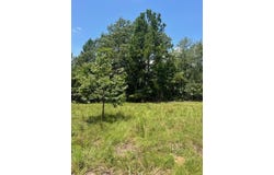 0 Gough Road, Louisville, GA 30434