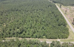 17860 FM 1751, BRONSON, TX 75930
