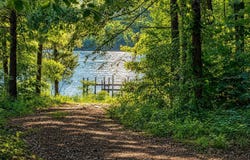 River Pointe Drive lot: 19, Cedar Bluff, AL 35959