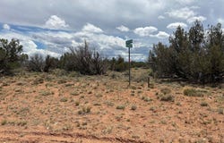 Lot 595 Graham Road, Heber, AZ 85928