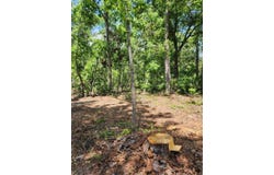 0 Carson Rd, Wrens, GA 30833