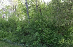 ON HURON ST, Three Lakes, WI 54562