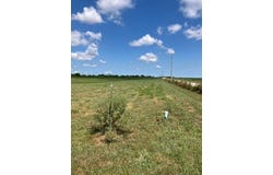 Mills Road, Lacygne, KS 66040
