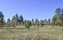 56490 Ii Road, Montrose, CO 81403