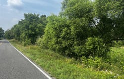 0 N Whites Bridge Road, Belding, MI 48809
