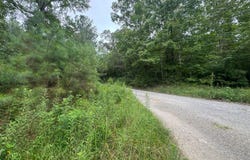 204 COUNTY ROAD 3055, Double Springs, AL 35553