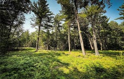26987 Marias Way, Webster, WI 54893
