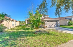 8804 SANDY PLAINS Drive, RIVERVIEW, FL 33578