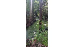 3809 CR 405N, LAKE PANASOFFKEE, FL 33538