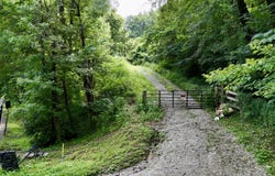 223 Bertha Hollow Road, Gray, KY 40734