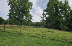 000 State Hwy Jj, Squires, MO 65755