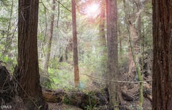 32100 Forest Lane, Fort Bragg, CA 95437