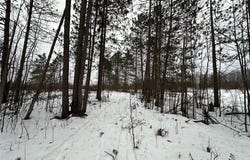 Tbd #1 Koecher Road, Kerrick, MN 55756