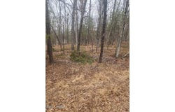 Lot 341 Timber Ridge Drive, Hawley, PA 18428