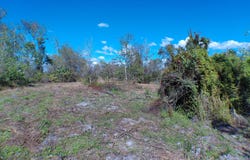 15683 NW 252nd Street, Okeechobee, FL 34972