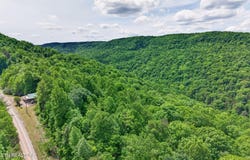 W Bobcat Lane, Wilder, TN 38589