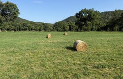 000 Schoolhouse Road, Melbourne, AR 72556