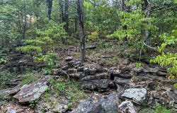 000 Duncan Ln, Poughkeepsie, AR 72569
