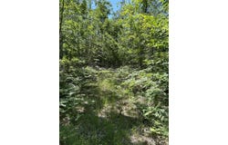Parcel B Woodmansee Road, Cheboygan, MI 49721