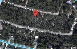 2013 Andros Street, Sebring, FL 33875