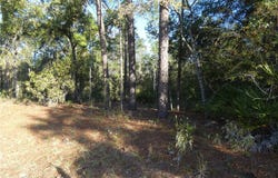 SW 93rd Lane Road lot: 31, Dunnellon, FL 34431